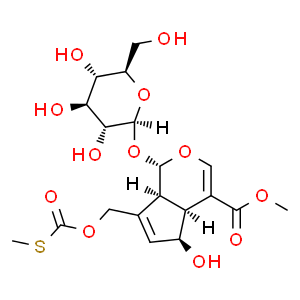 雞屎藤苷酸甲酯