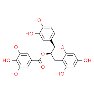 表兒茶素沒食子酸酯