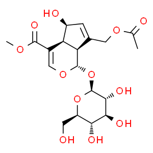車葉草苷酸甲酯