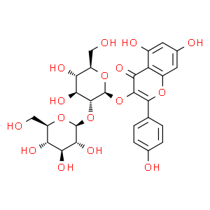 山奈酚-3-O-槐糖苷
