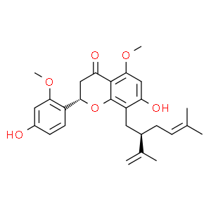 2'-O-甲基苦參酮
