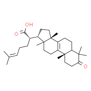 β-欖香酮酸