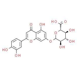 木犀草素-7-O-葡萄糖醛酸苷