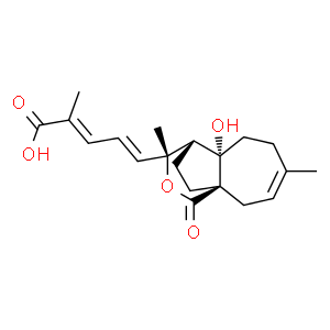去乙?；燎G皮甲酸
