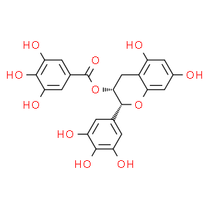 表沒食子兒茶素沒食子酸酯
